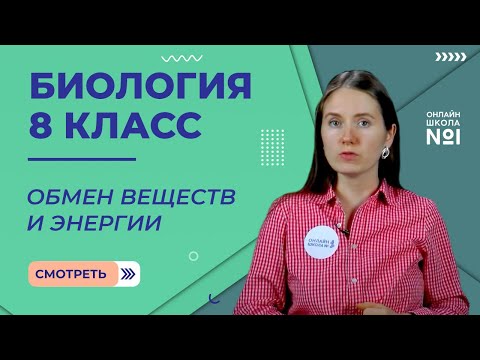 Видео: Обмен веществ и энергии. Видеоурок 24. Биология 8 класс