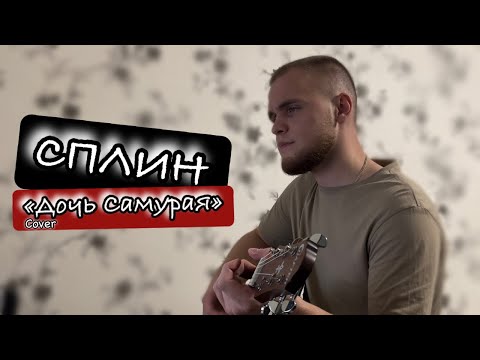 Видео: Сплин - Дочь самурая/Cover под гитару