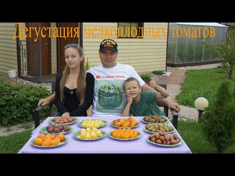 Видео: Дегустация мелкоплодных томатов и томатов черри