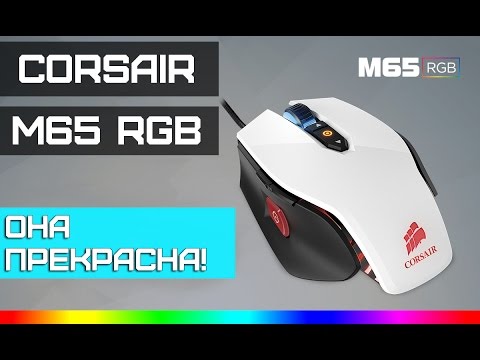 Видео: Corsair M65 RGB Обзор. Очень красивая игровая мышь! Я влюбился!