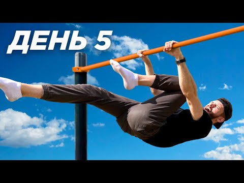 Видео: Передний Вис за 14 дней