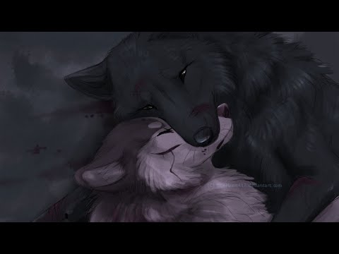 Видео: Мини-Комикс про Волков.