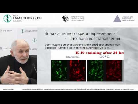 Видео: Проблемы криохирургии и пути их решения