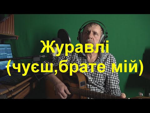 Видео: Журавлі(чуєш брате..)
