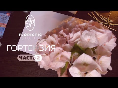Видео: Гортензия из зефирного фоамирана. Часть 2