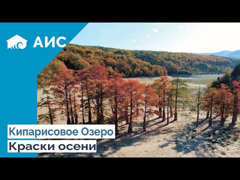 Видео: Кипарисовое озера. Анапа.Сукко 