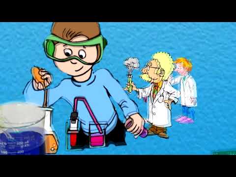 Видео: 55-сабак