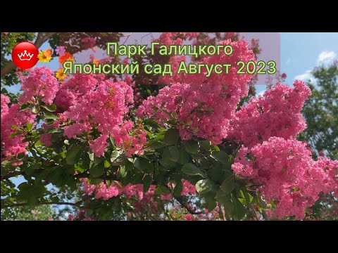 Видео: 🌺😎Парк Галицкого Японский сад август не устает удивлять 2023.