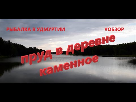 Видео: Рыбалка в Удмуртии. Пруд в деревне Каменное.