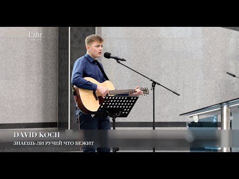 Видео: Знаешь ли ручей что бежит. David Koch