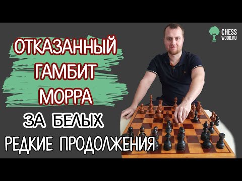 Видео: Отказанный гамбит Морра за белых. Редкие продолжения на 2-м ходу