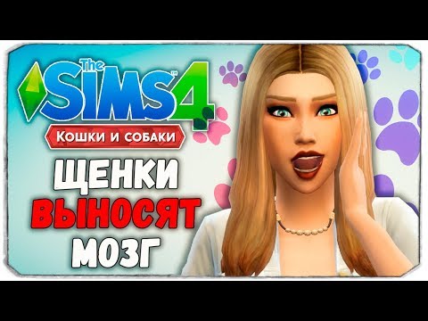 Видео: 100 ПИТОМЦЕВ - ЩЕНКИ ПРОТИВ ДАШИ - The Sims 4 "Кошки и Собаки" ЧЕЛЛЕНДЖ