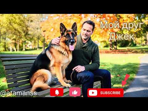 Видео: Песня ,,Мой друг Джек’’