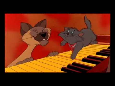 Видео: Коты аристократы. Каждый хочет быть котом.