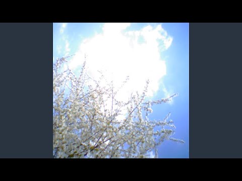 Видео: это, наверное, здорово