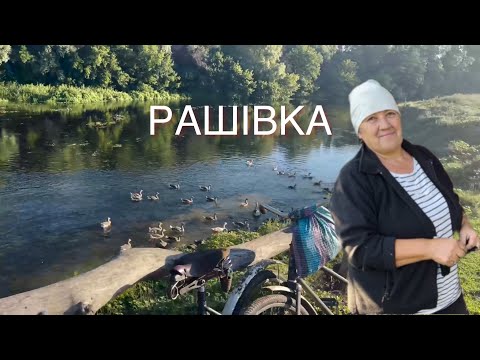 Видео: Рашівка - село мого прапрадіда Єлісея Романова на Полтавщині, столітня хатина біля річки Псел