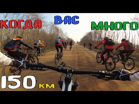 Видео: 150 км ПОЗИТИВА Классная покатушка Когда ты на колёсах, то всё в радость)  /20.10.2019/