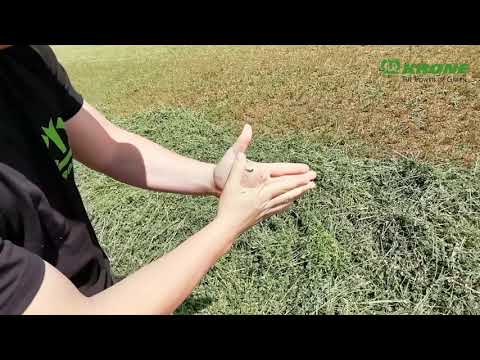 Видео: Заготовка сенажа люцерны в Алтайском крае с помощью техники KRONE #krone #BIGX770 #swadroTS970