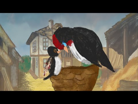 Видео: Майчина сълза