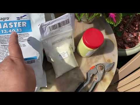 Видео: Чем подкормить розы перед цветением? Мой выбор препаратов🌹🌹🌹