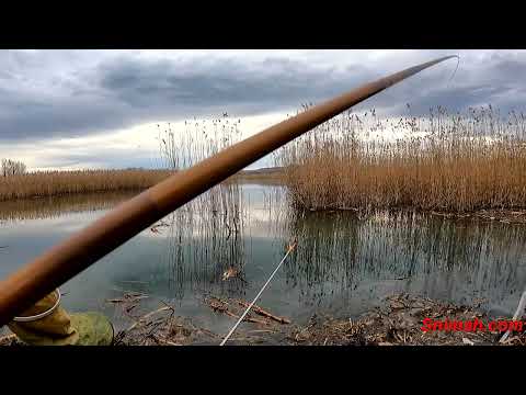 Видео: Първи риболов за 2025 година на язовир Безден