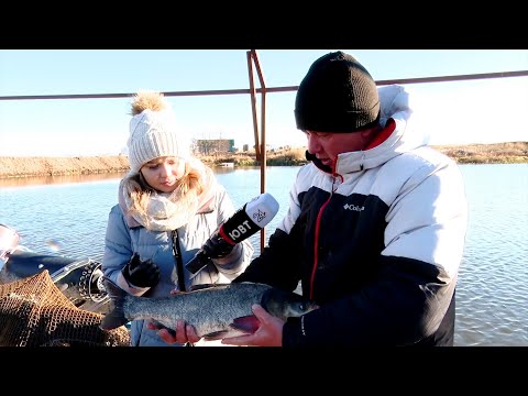 Видео: Семья из Бугульминского района держит рыбную ферму
