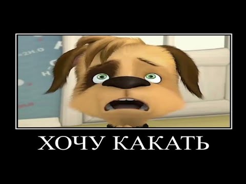 Видео: Муд Барбоскины демотиватор 12