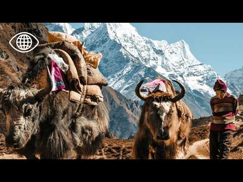 Видео: Гималаи разрушаются — Манаслу: рай, которому угрожает таяние льдов — Документальный фильм