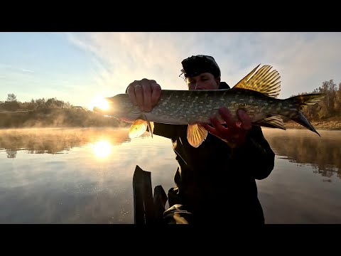 Видео: Осенняя рыбалка на Даугаве (Двина)!Рыбалка в Латгалии!