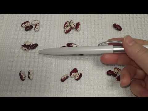 Видео: Если у Вас Тупиковая ситуация.Что скажет Кумалак