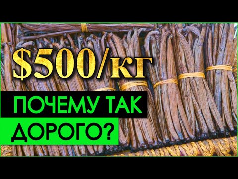Видео: Почему ваниль стоит ТАК ДОРОГО? | История происхождения ванили и пряностей