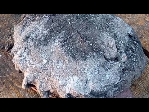 Видео: Как запечь мясо на костре