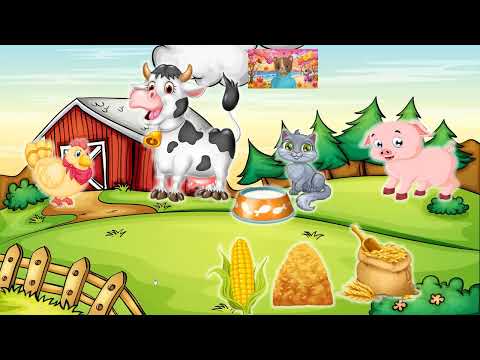 Видео: Домашні тварини