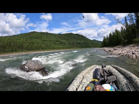 Видео: Саяны. Рыбалка на хариуса