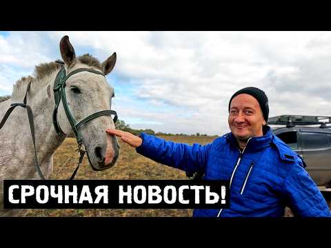 Видео: Жизнь мальчика в теле мужчины теперь изменится! | Орловская обл, Колпнянский р/н с.Красное