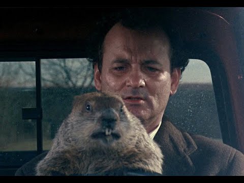 Видео: Охота на сурка с подхода в Казахстане, с гладким стволом июль 2021, Актерек. marmot hunt