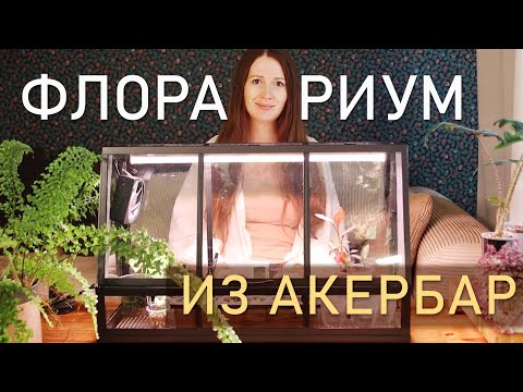 Видео: Флорариум из акербар. Переделка Икеа