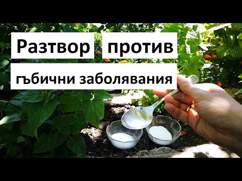Видео: Разтвор против гъбични заболявания