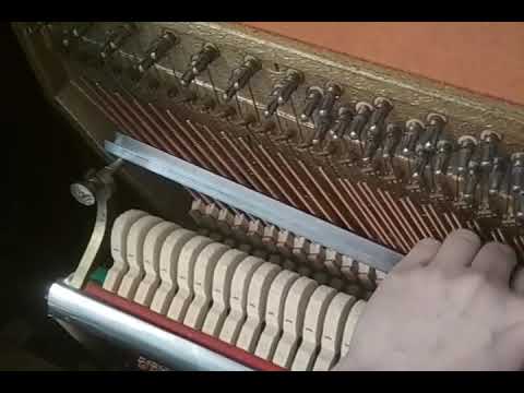 Видео: Нет модератора - не беда!