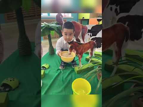 Видео: Айнур Опиева Үй жануарлары "Төрт түлік"