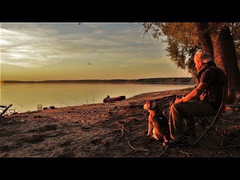 Видео: Рыбалка с Ночёвкой на НЕОБИТАЕМОМ Острове. Ловля на Закидушки.Обустройство лагеря и Быт.