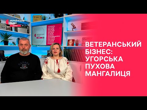 Видео: Ветеран вирощує пухнастих свиней на Чернігівщині | Полудень