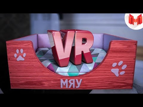 Видео: Кошачьи будни (VR)