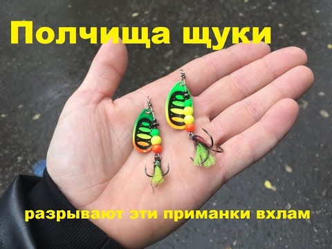 Видео: Ловля щуки и окуня летом.Спиннинг в июне.Щука на вертушки.Как поймать щуку.Рыбалка с лодки и берега.