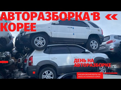 Видео: Авторазборка в Корее. Весь процесс от поступления автомобиля до его погрузки в контейнер.