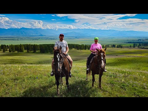 Видео: Кони, пасека, алтайские посиделки.