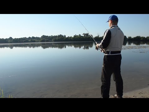 Видео: Окунь на відвідний повідець на озері.