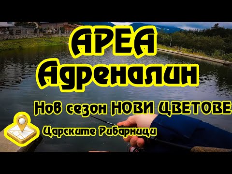 Видео: Не очаквах това от новите клатушки ! AREA риболов на пъстърва! 