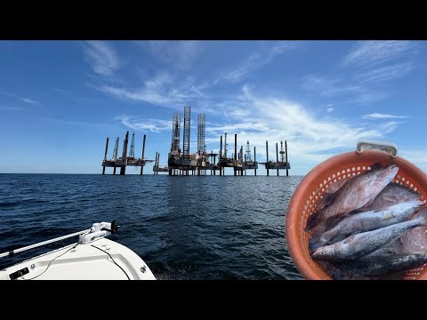 Видео: Береговая форель и оснастка Snapper!