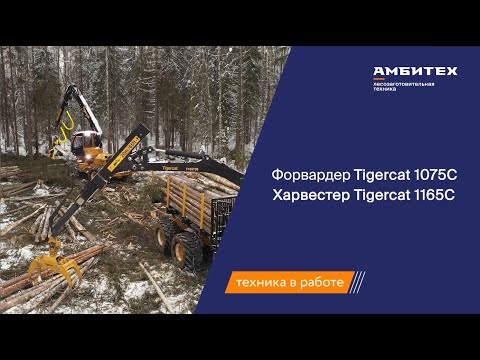 Видео: Харвестер Tigercat 1165 и форвардер 1075С